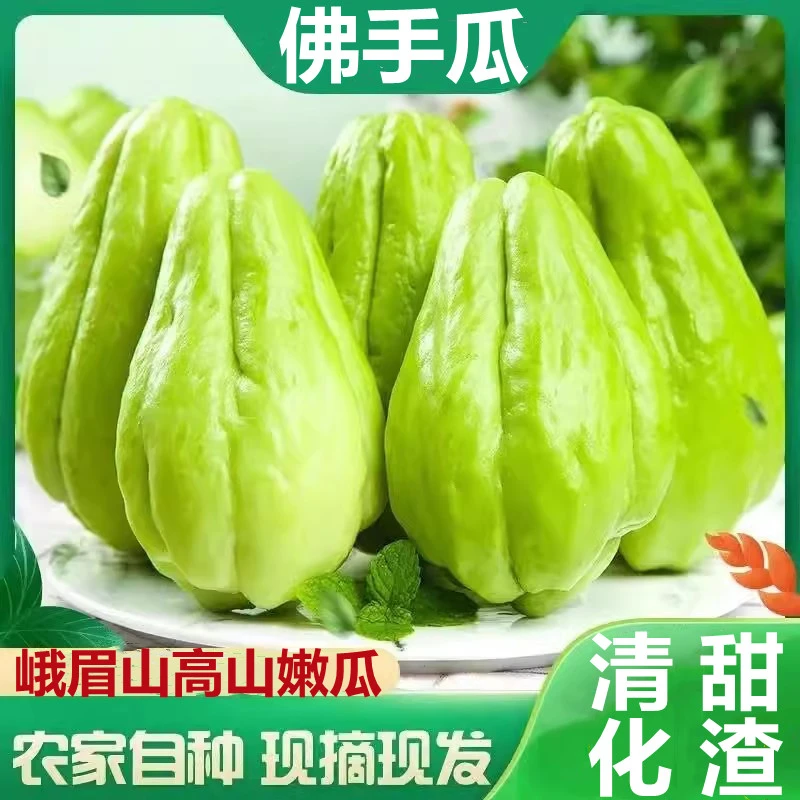 新鲜佛手瓜四川高山农家自种当季鲜嫩蔬菜捧瓜寿瓜洋丝瓜窝瓜薄皮