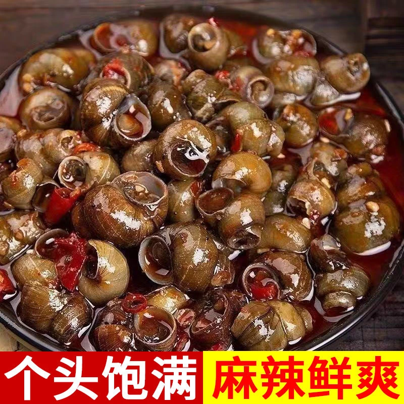 香辣炒田螺罐装即食500g螺蛳肉海鲜零食嗦螺麻辣螺丝泥螺鲜活熟食
