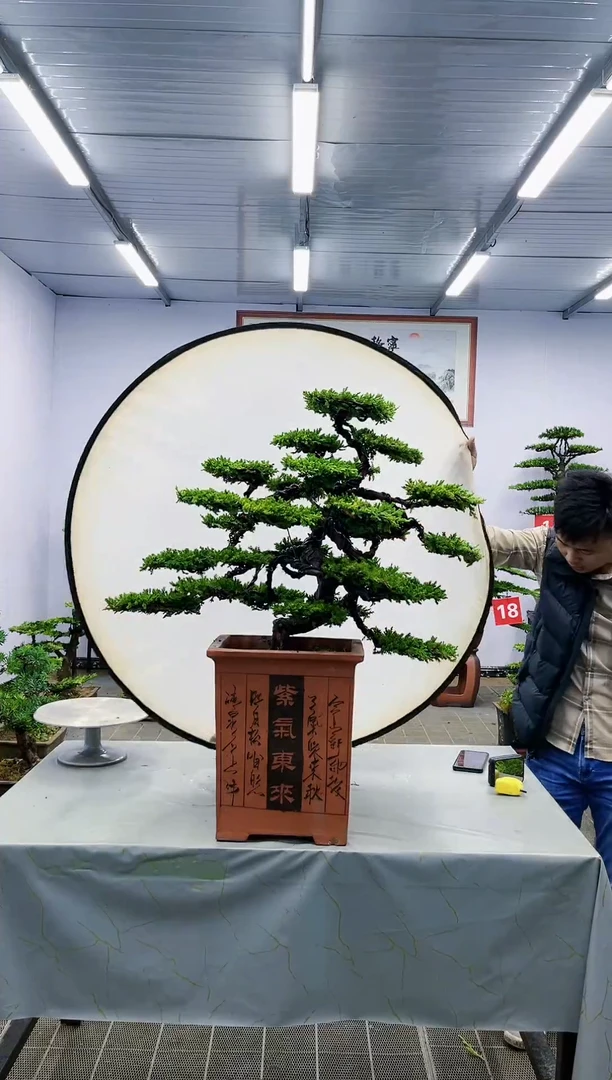 【闪购商品】一物一拍，所见即所得