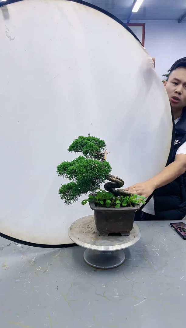 【闪购商品】一物一拍，所见即所得