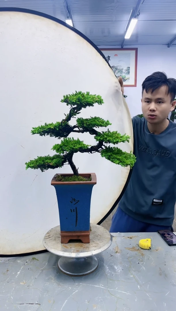 【闪购商品】一物一拍，所见即所得