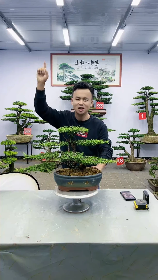 【闪购商品】一物一拍，所见即所得
