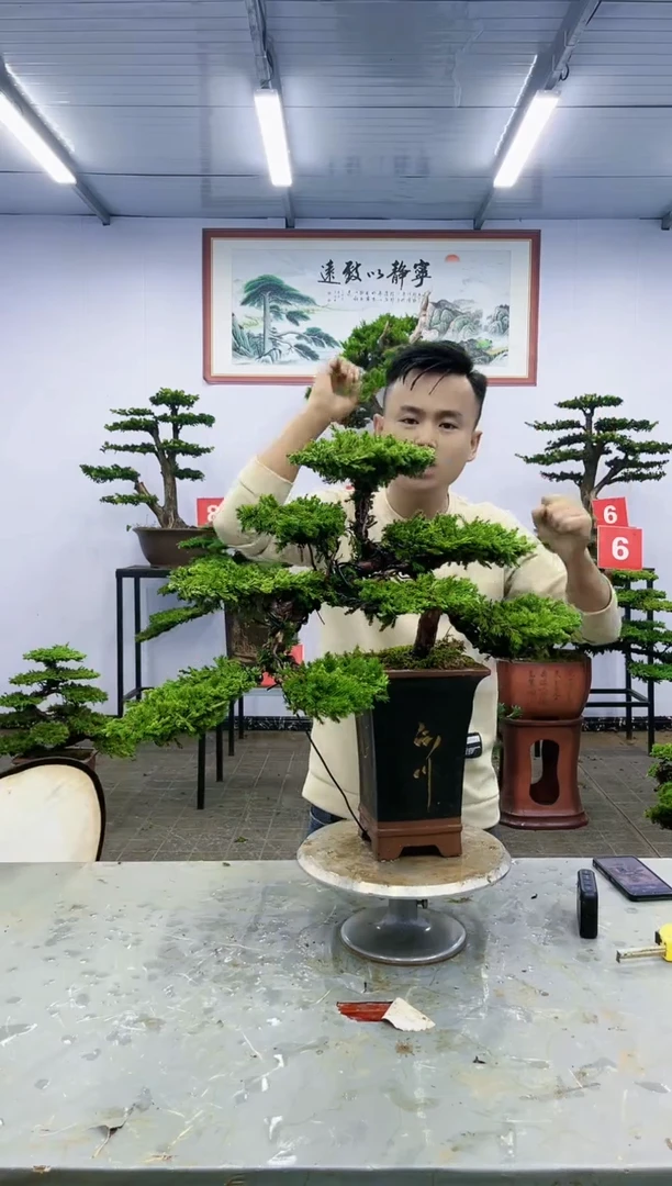 【闪购商品】一物一拍，所见即所得