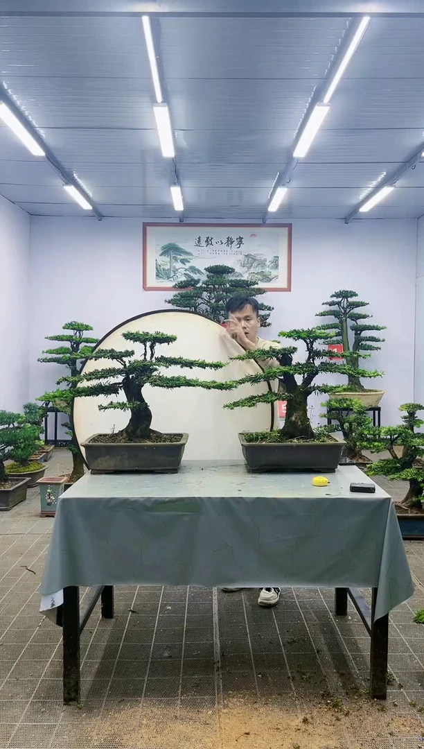 【闪购商品】一物一拍，所见即所得