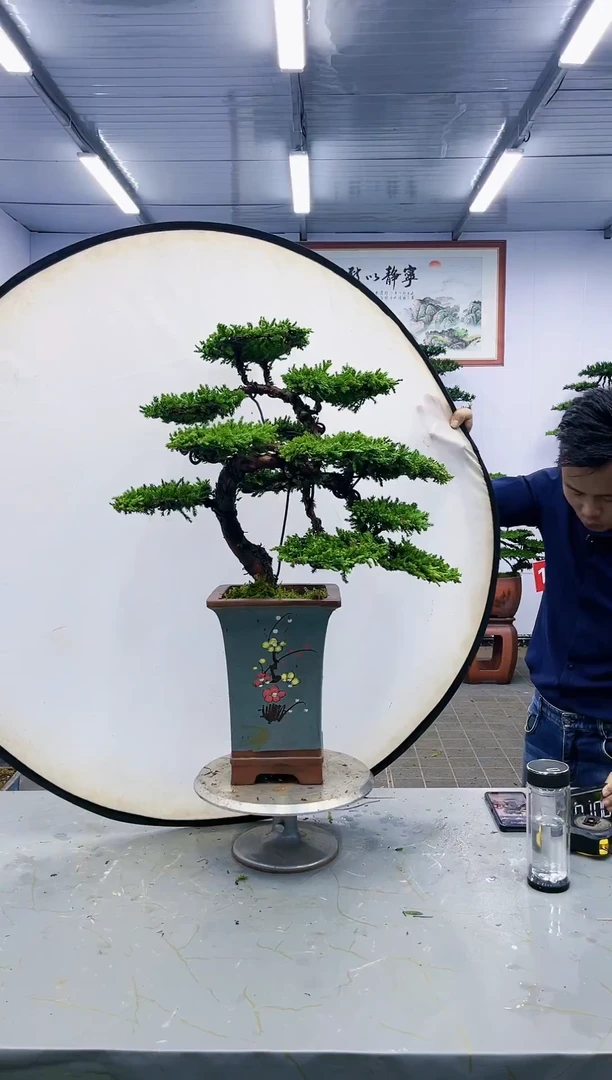 【闪购商品】一物一拍，所见即所得