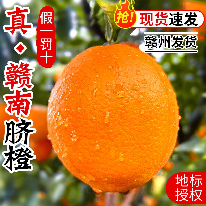 赣南脐橙橙子脐橙 正宗江西赣南脐橙甜橙手剥橙 新鲜应季脐橙当季