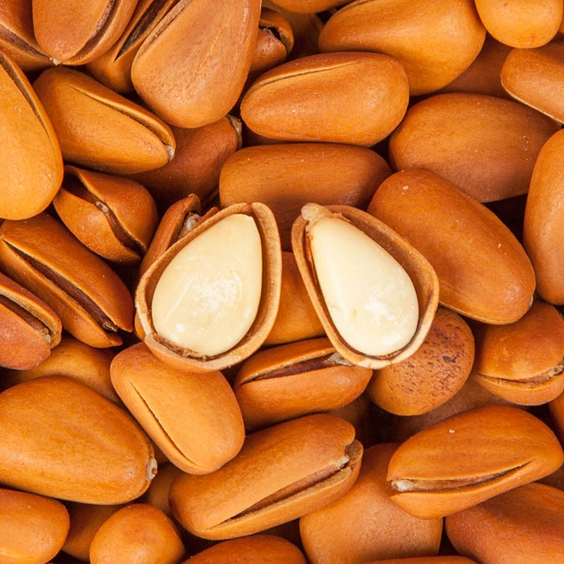 东北开口油炸大颗粒松子500g东北红松子零食特产