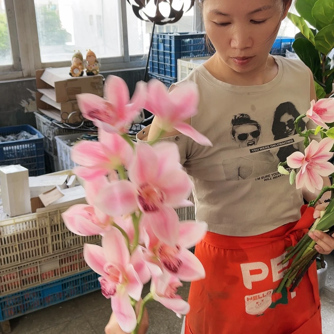 红陶20CM（含）-50CM（不含）