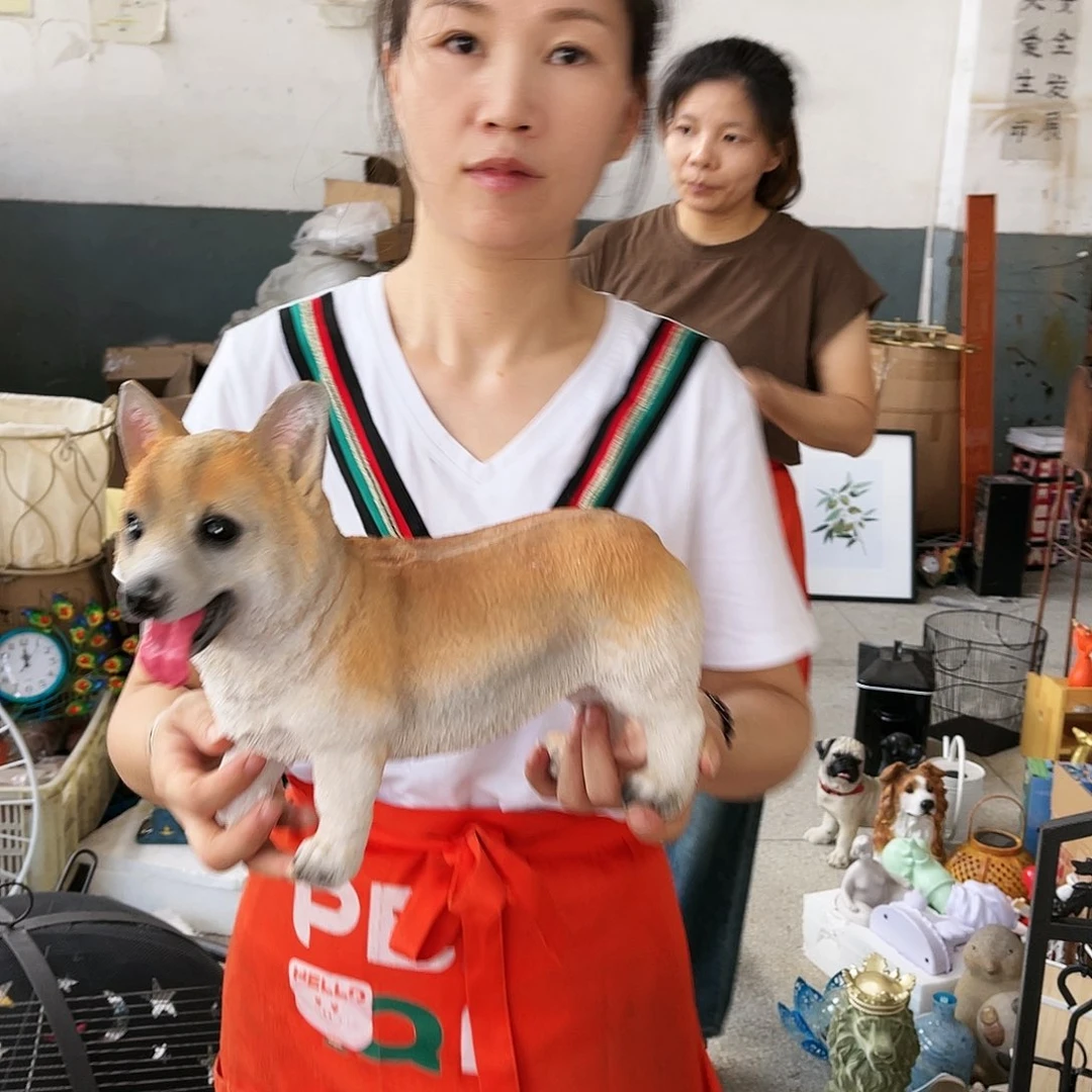 红陶20CM（含）-50CM（不含）