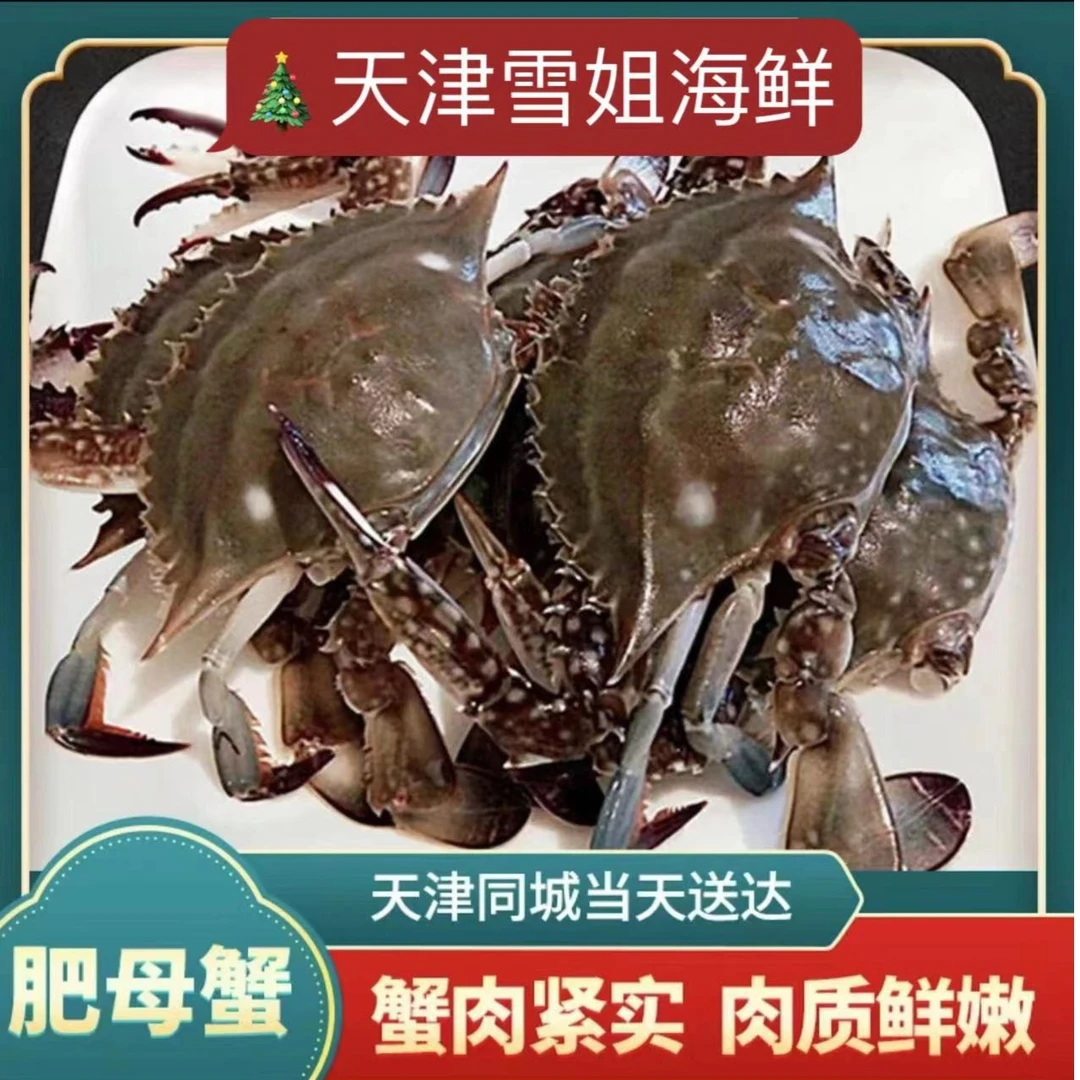（雪姐海鲜）精挑细选的母蟹特别好鲜嫩饱满 天津同城当天到