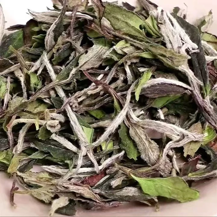 2025年二级荒野白牡丹花香馥郁散茶茶叶春茶高山茶白茶