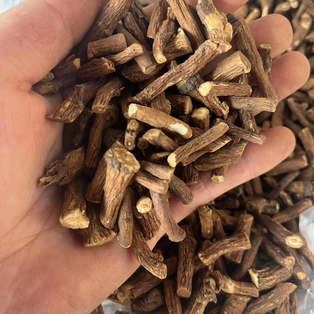 云南山货蒲公英根500g食用农产品