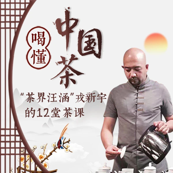 茶知识茶艺茶道教学戎新宇的12堂茶课红青白绿黄黑茶泡茶艺师视频