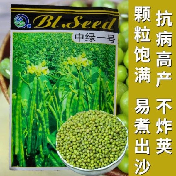 中绿一号绿豆种子早熟高产绿豆芽苗菜种子绿豆汤五谷杂粮蔬菜种子