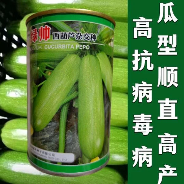 绿帅西葫芦种子高产抗病毒病瓜型顺直葫芦瓜绿皮油亮耐热角瓜种籽