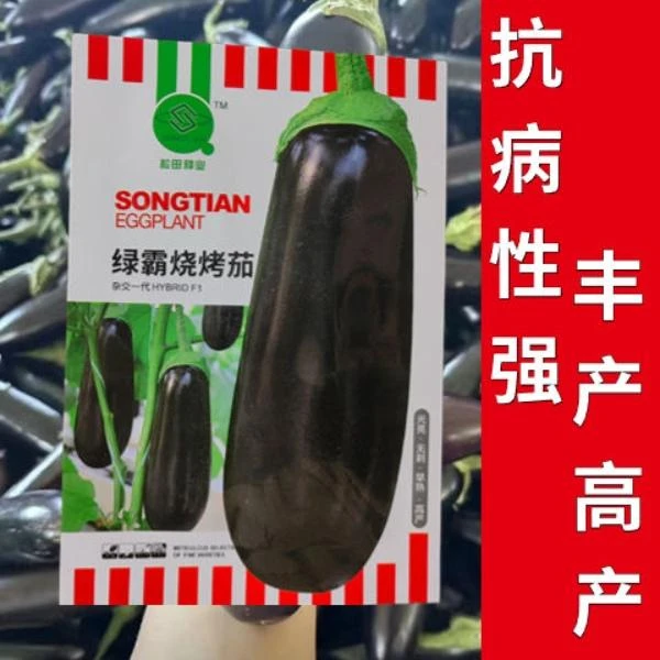 绿霸烧烤茄种子黑皮粗棒紫黑长茄种子烧烤茄子大田抗病高产茄子籽