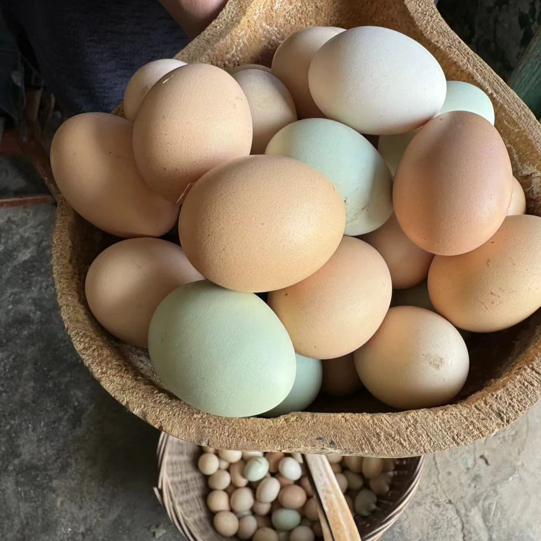 湖北正宗农家散养土鸡蛋孕妇儿童健康辅食坏包赔顺丰包邮