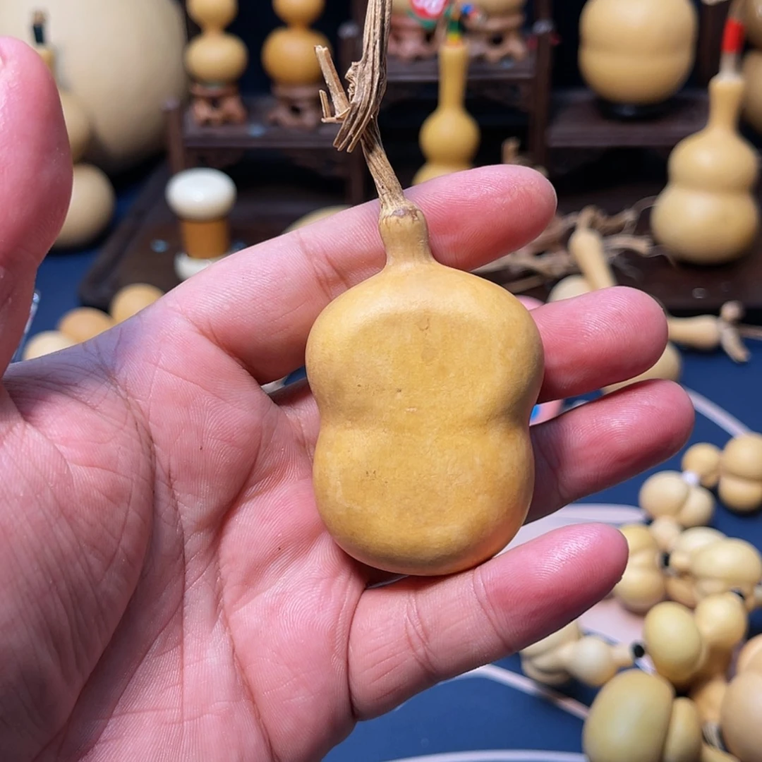 【闪购商品】铜葫芦莽*儿