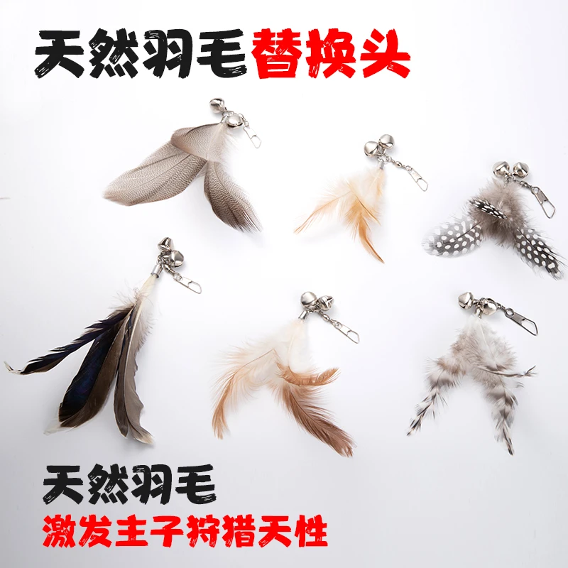 猫咪玩具逗猫棒替换头带铃铛羽毛替换头新款天然羽毛自嗨宠物玩具