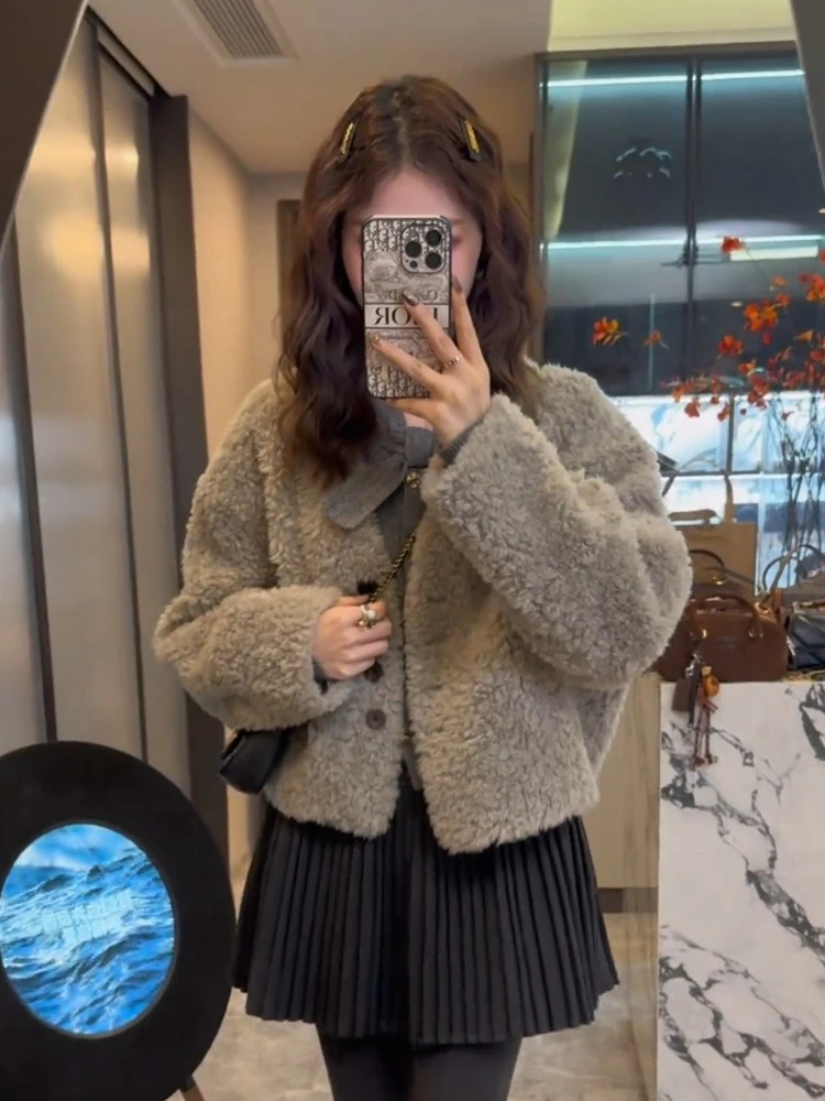 设计感轻奢时尚短款羊羔毛外套女2024秋冬新款洋气百搭小个子上衣