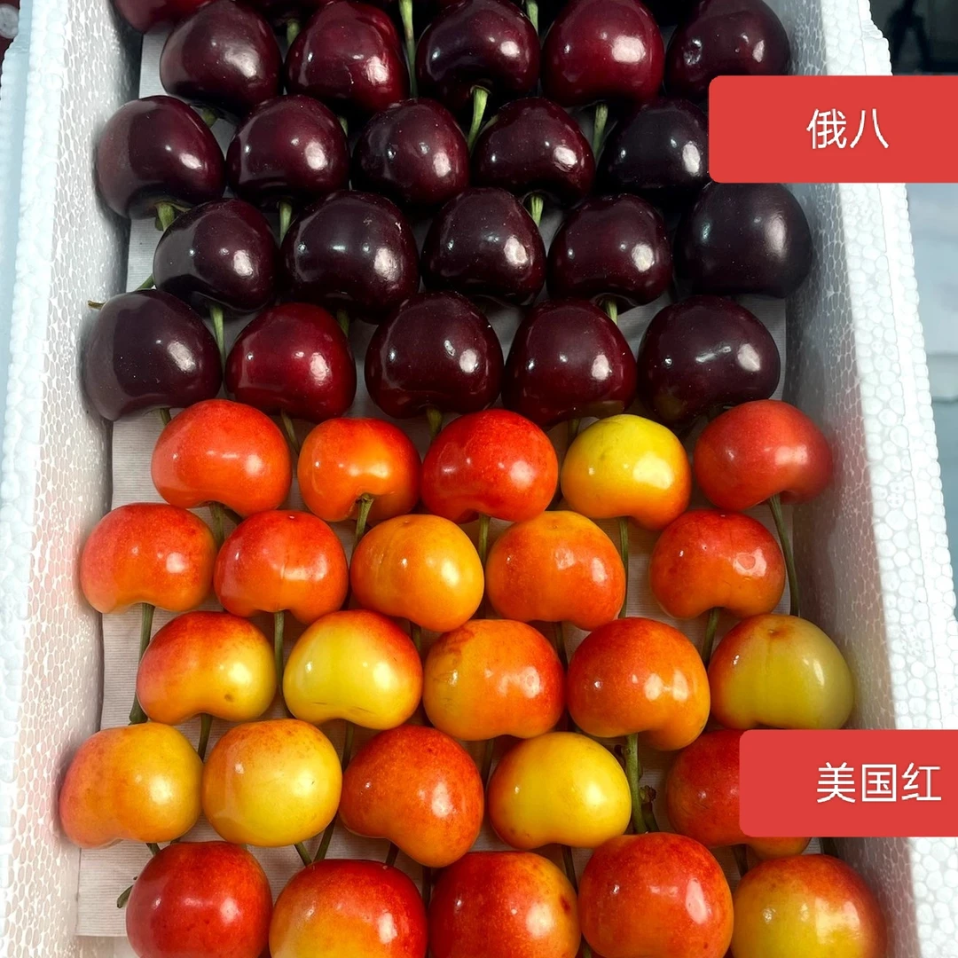 【高端拼箱顺丰包邮】大连俄罗斯八号美国红拼箱脆甜稀有品种