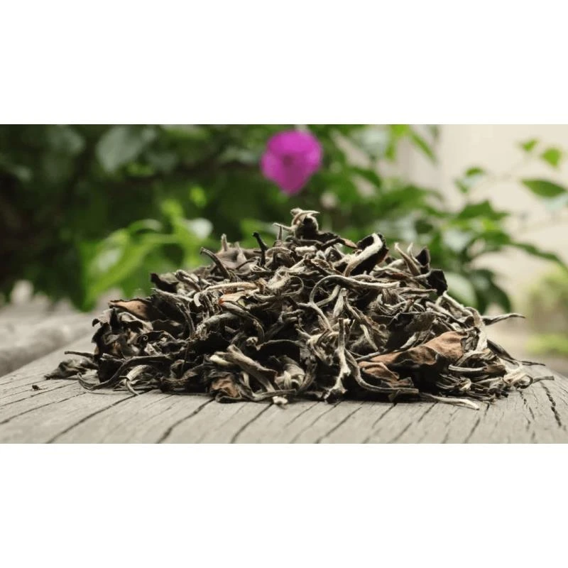 檀里村专属2011年白牡丹福鼎白茶