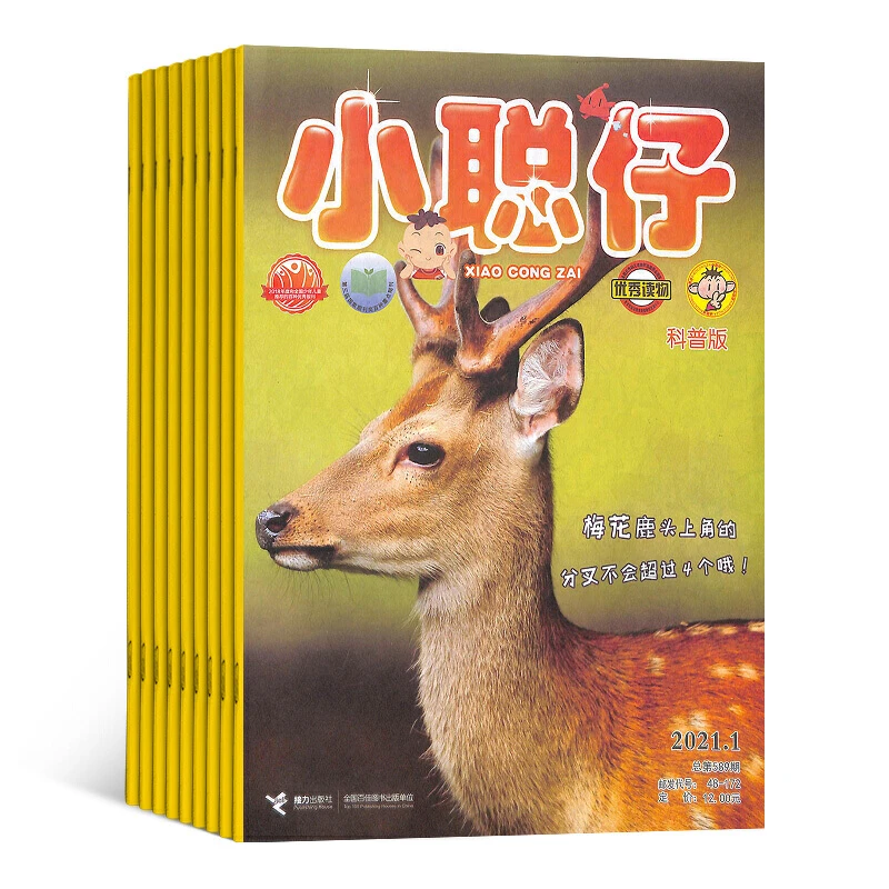 【达人推荐】小聪仔科普版2021年过刊（12册）