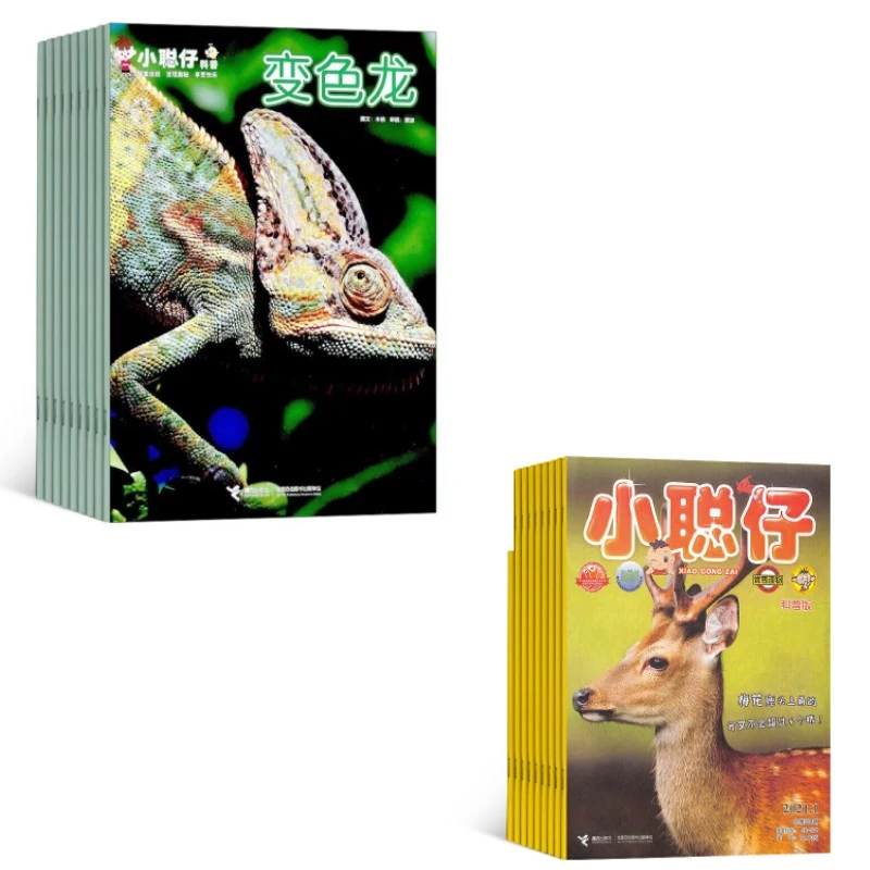【2-8岁】小聪仔2021年+2022年（12期）科普版送帆布袋