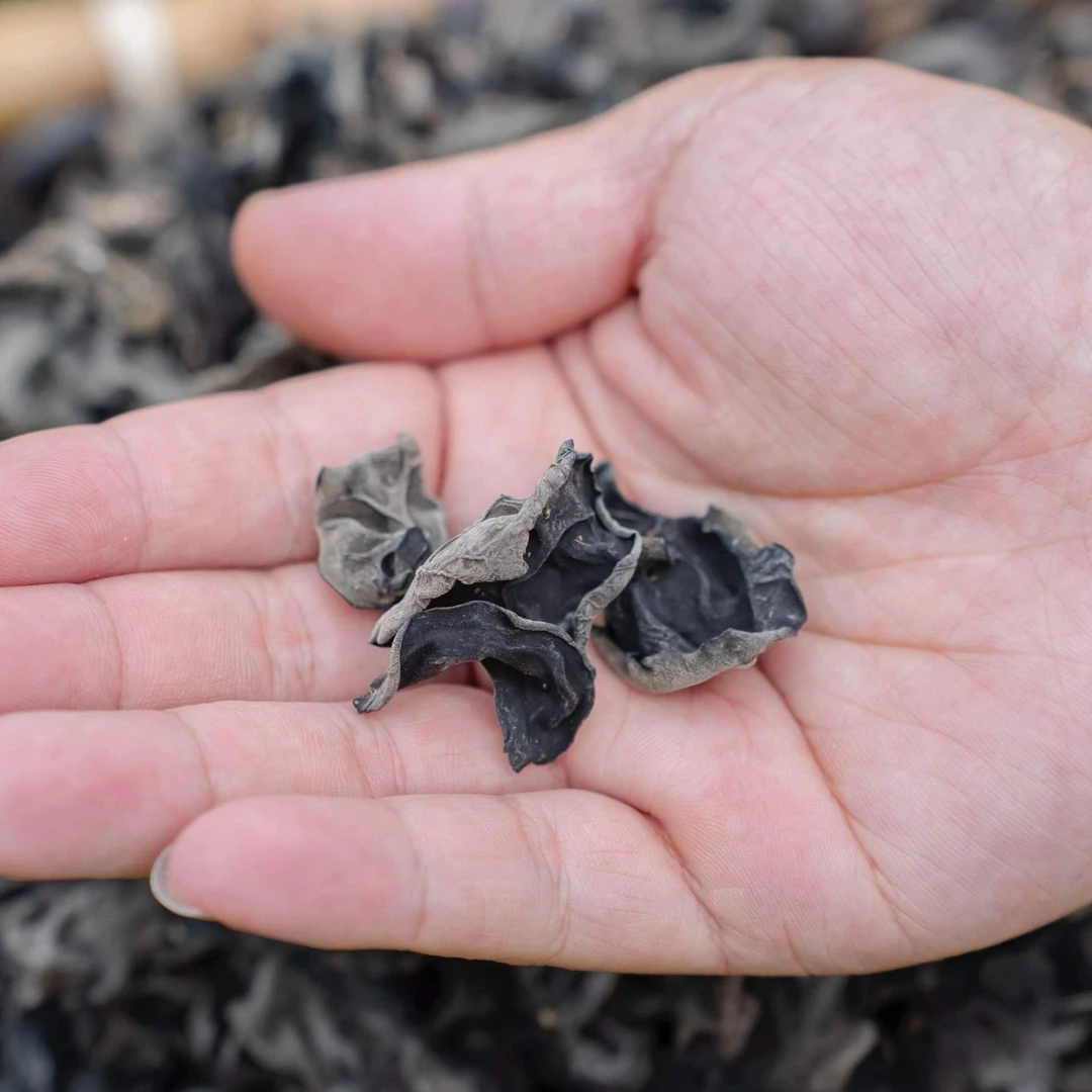 黑木耳干100g  山货  炒菜泡发