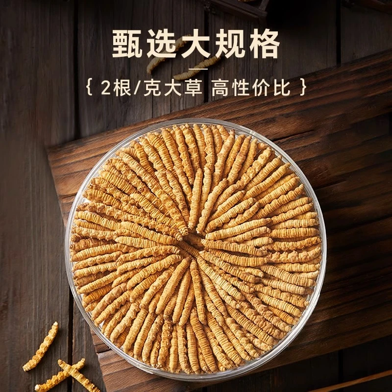 【现称大断草】高品质草王规格虫草自用大断草煲汤泡水喝亓亓