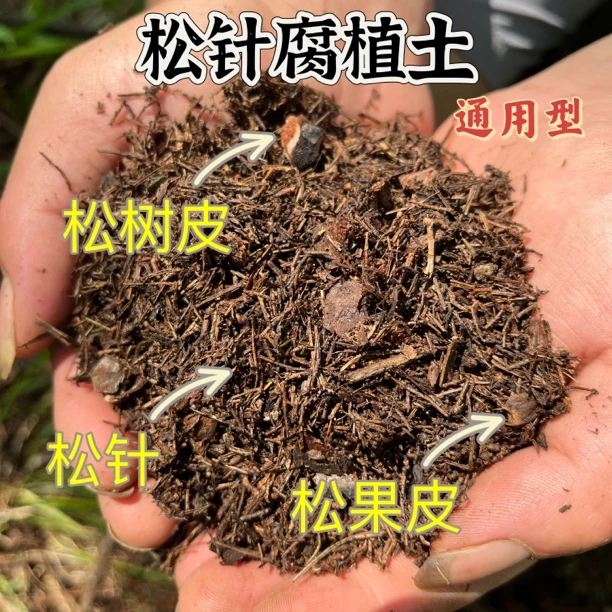 三合一（松针➕松磷➕松果皮）通用型腐植土养花种菜