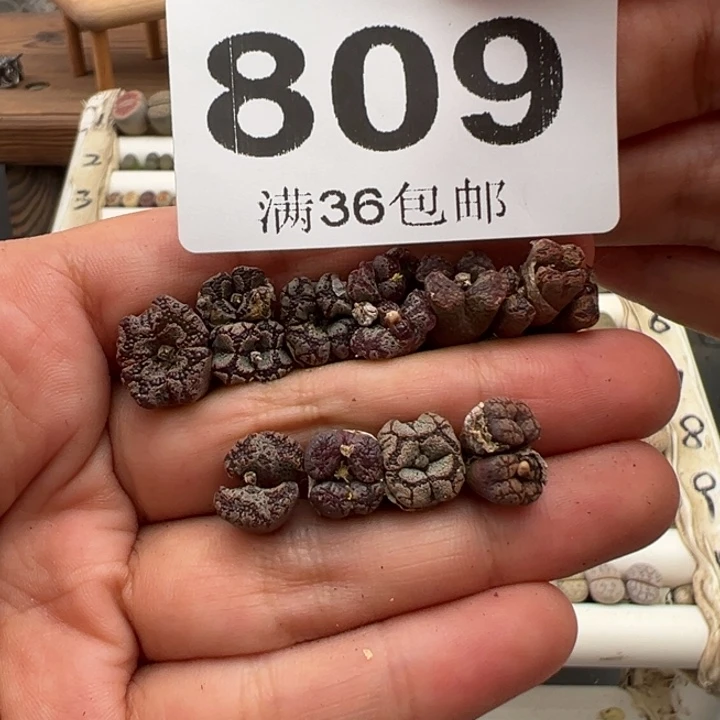 8.16满36元包邮809