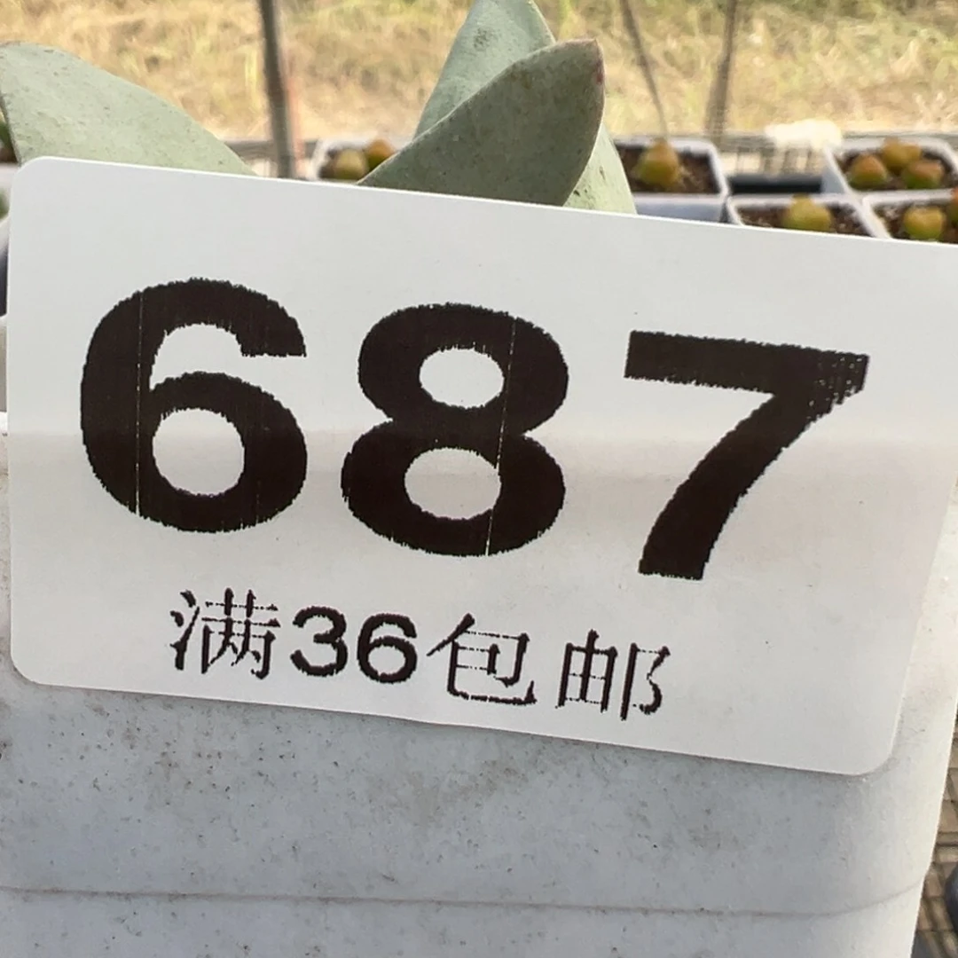 樂*?9.24满36元包邮687