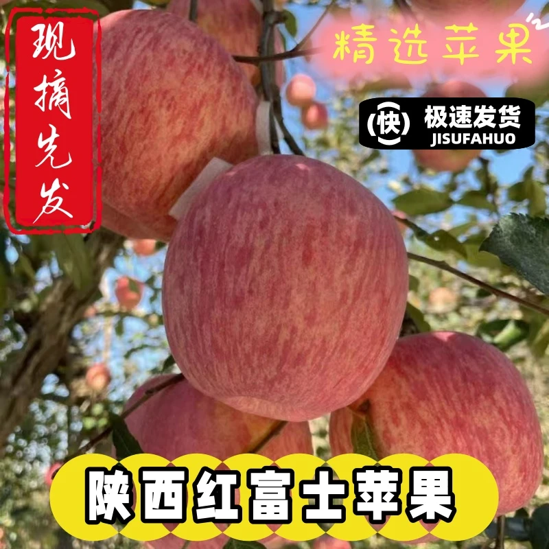 【恒硕果蔬助农】陕西精品洛川红富士苹果产地发货新鲜高品质苹果