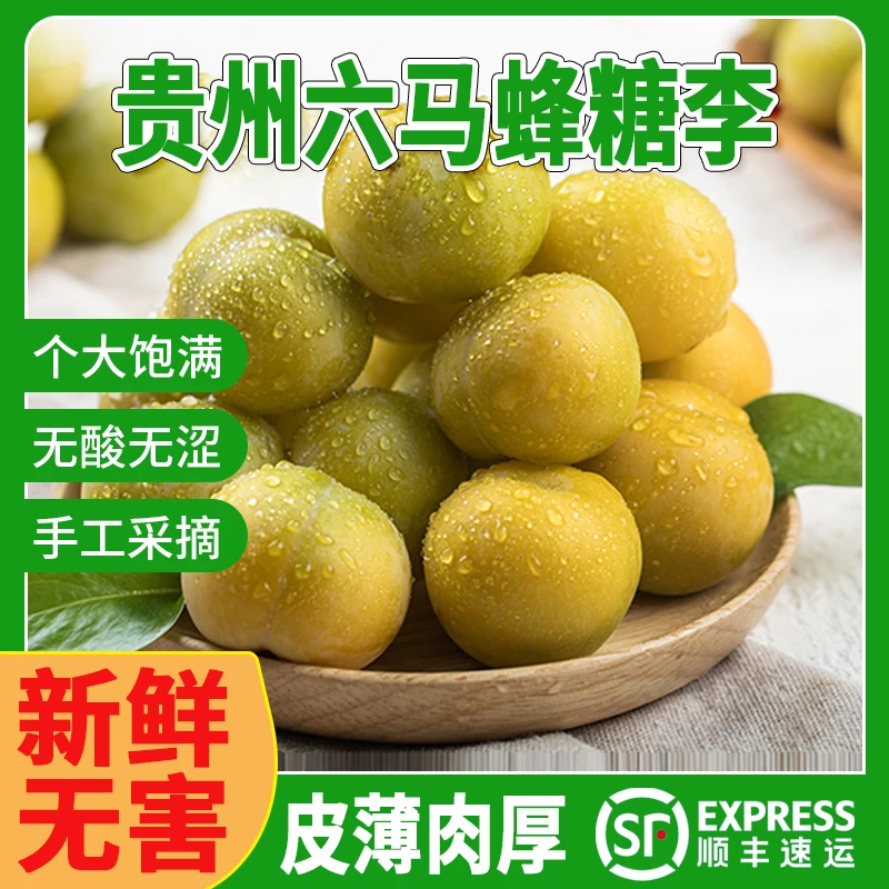 【顺丰空运】正宗镇宁六马蜂糖李源产地直发 现摘现发脆甜可口新鲜