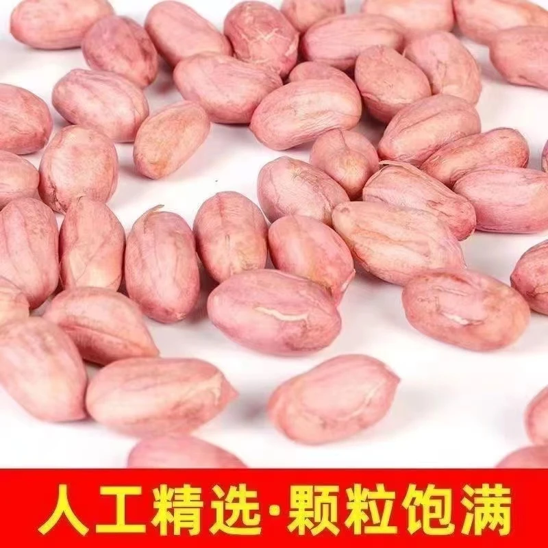 【23年10月新花生】几毛钱现剥新花生米粉皮新鲜香酥解馋白沙花生仁