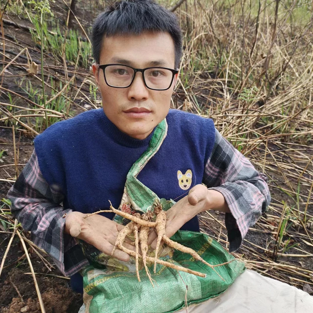 云南（野生土党参自然晒干）野生几十年老党参