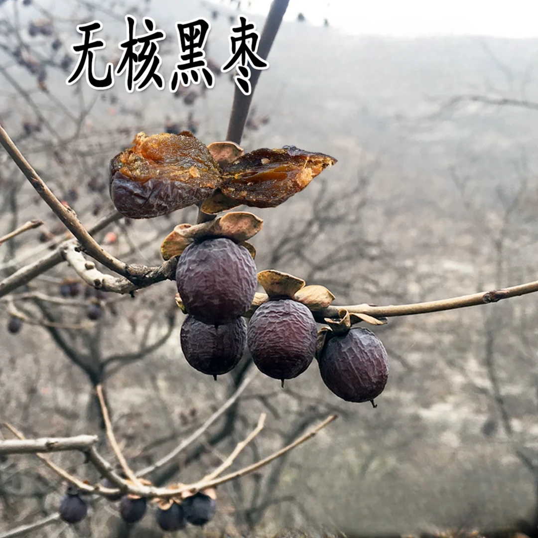 【无核黑枣】君迁子黑枣无核软枣 产地太行山区 小柿子黑枣普果包邮