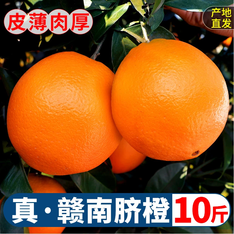 【带箱5斤】正宗赣南脐橙原产地皮薄当季水果现采现发新鲜果园直发