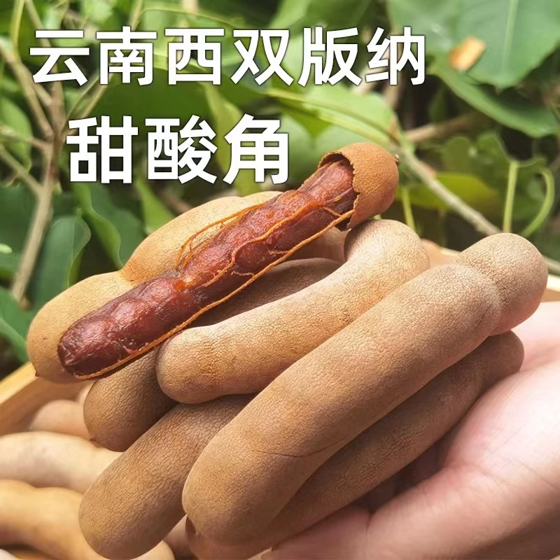 云南特产新鲜甜酸角野生大甜角孕妇零食甜豆角罗望子