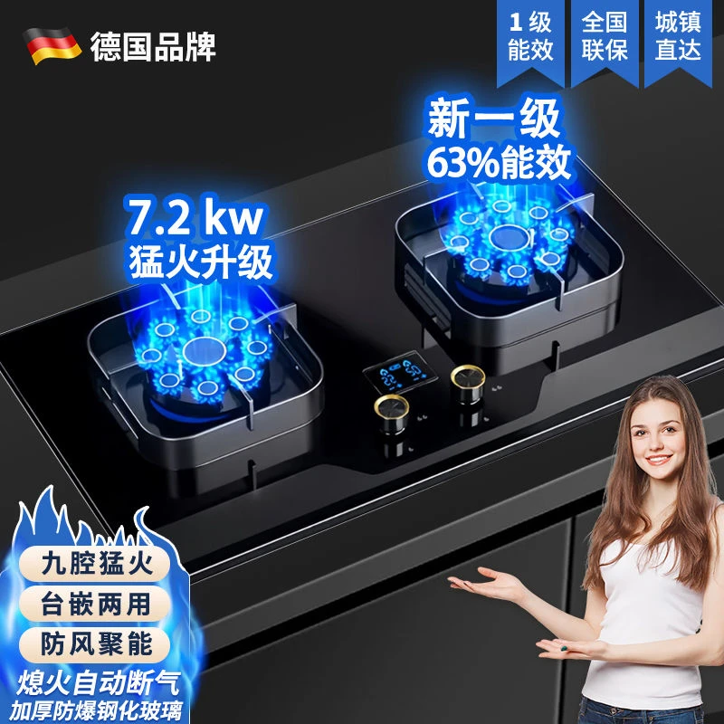 德国品牌炉具燃气灶双灶天然气防爆猛火灶加厚燃气灶具防风两用ai