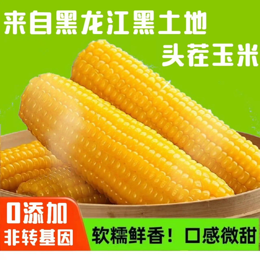 东北黄糯玉米24年头茬新鲜软糯粘黏苞米现摘代餐饱腹玉米棒0添加