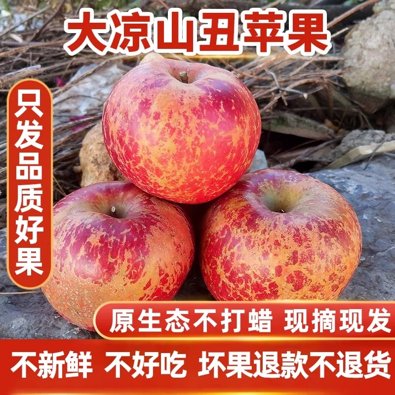 正宗汉源冰糖心丑苹果红富士新鲜水果孕妇脆甜5/8斤包邮