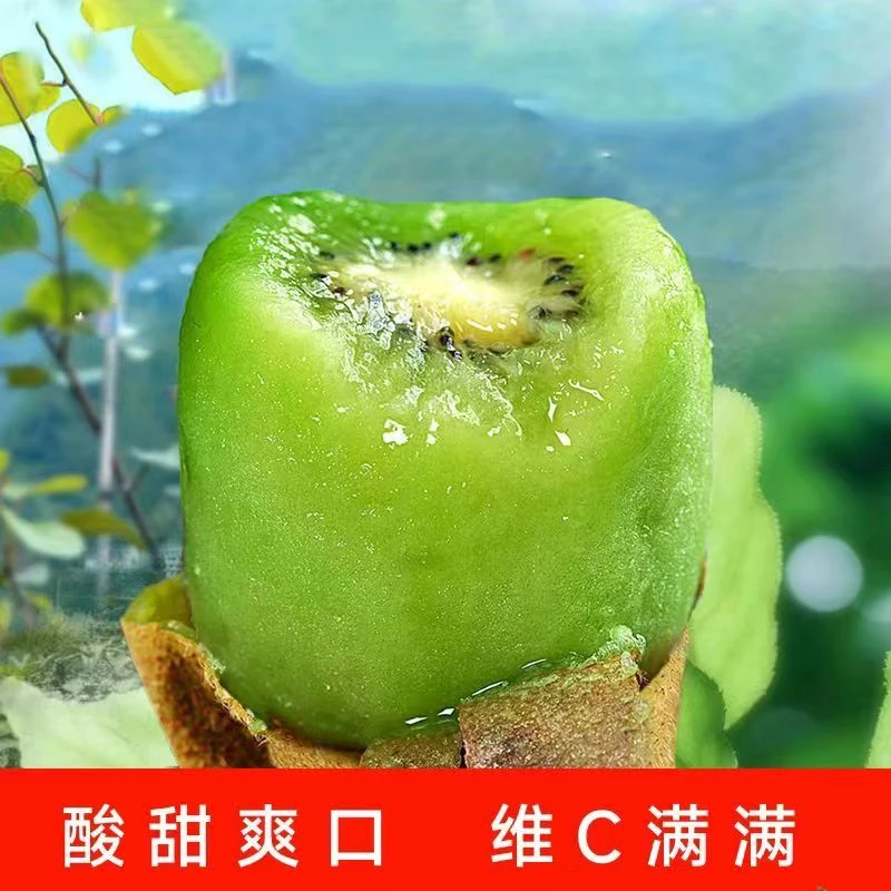 绿心猕猴桃应季水果现摘现发五斤大果整箱包邮高山香甜&
