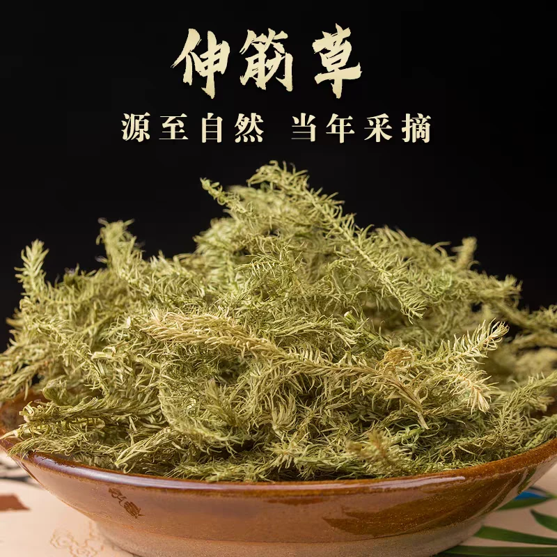 伸筋草正宗道地野生精选无硫伸筋草搭配枸杞泡水泡茶喝养生滋补