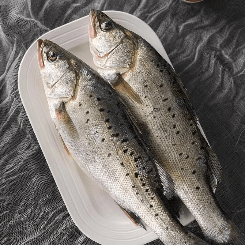 海鲈鱼6.5斤 /件