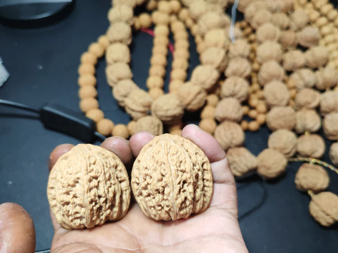 原生态平谷绣球狮子头，边40，肚38，高42，产地平谷。