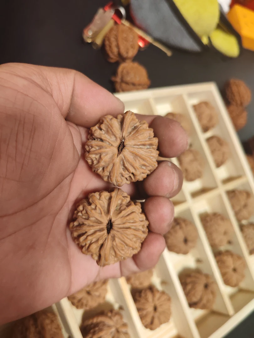 平谷梅花墩，矮圆闷狮子头，尺寸36一39