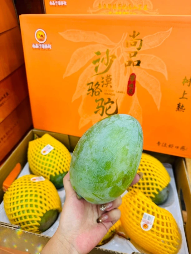 沙漠骆驼凯特芒果8斤装