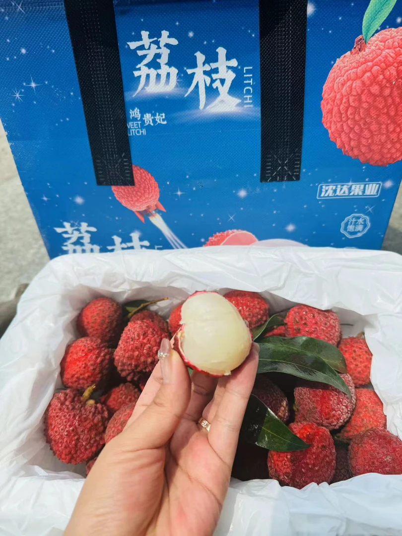 海南小核荔枝王大果2.5斤